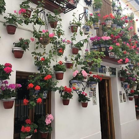 Apartamento El Templo Kordoba Zewnętrze zdjęcie