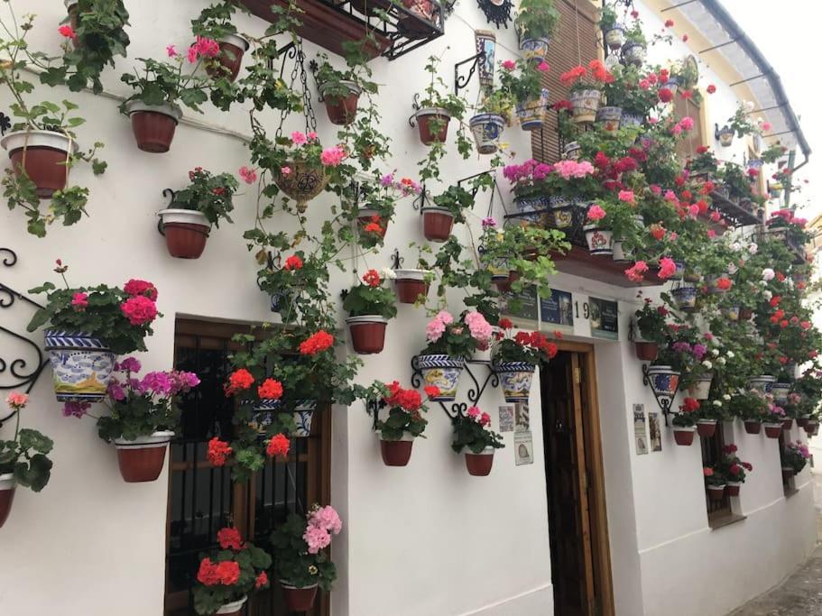 Apartamento El Templo Kordoba Zewnętrze zdjęcie